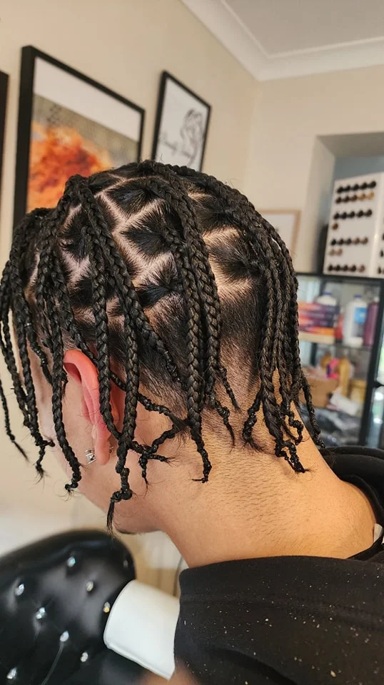 Travis Scott Box Braids